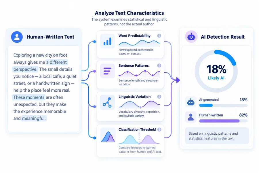 AI detector analyzing human-written text patterns and classification signals